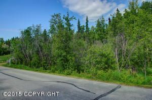 L8 B2 Southpark Bluff Drive, Anchorage, AK 99516