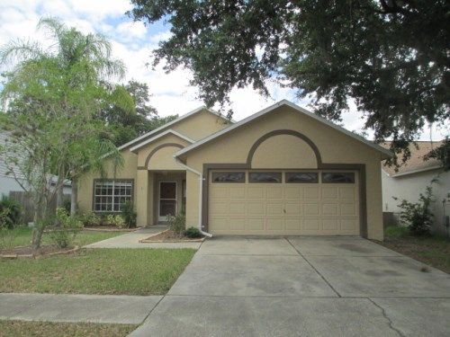 10233 Allenwood Dri, Riverview, FL 33569