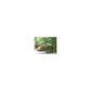 101 Smith Hill Road, Cherrylog, GA 30522 ID:12926062
