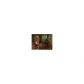 101 Smith Hill Road, Cherrylog, GA 30522 ID:12926063