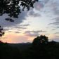 42 Stamp Mill Court, Dahlonega, GA 30533 ID:12910055