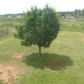 429 Glencroft Dr, Wingate, NC 28174 ID:12776361