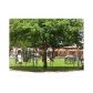 12 S VALENCIA DR # 5-4, Fort Lauderdale, FL 33324 ID:12957838