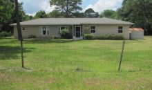 32014 Holopaw Trl Sorrento, FL 32776