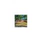 303 Glenwood Avenue, Atlanta, GA 30312 ID:12962607