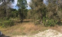 0 82 ST Loxahatchee, FL 33470