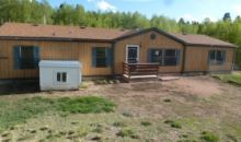 430 Friar Tuck Dr Divide, CO 80814