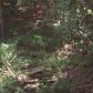 156 Virginia Circle, Cedartown, GA 30125 ID:12848820