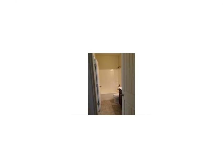 784 Sienna Valley Drive, Braselton, GA 30517