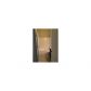 784 Sienna Valley Drive, Braselton, GA 30517 ID:12941979