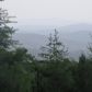 36 Deep Cove Rd, Blue Ridge, GA 30513 ID:13016500