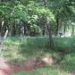 2385 Stoney Point Road, Cumming, GA 30041 ID:13023167