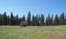 Lot 22 Timber Ridge Drive New Meadows, ID 83654