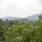 538 Cherry Lake Drive, Cherrylog, GA 30522 ID:13010759
