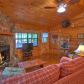 538 Cherry Lake Drive, Cherrylog, GA 30522 ID:13010763