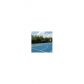 803 Rutledge Court, Woodstock, GA 30188 ID:12897330