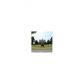 803 Rutledge Court, Woodstock, GA 30188 ID:12897334