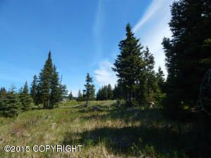 Tr 2 Treeline, Homer, AK 99603