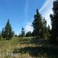 Tr 2 Treeline, Homer, AK 99603 ID:12888487