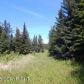 Tr 2 Treeline, Homer, AK 99603 ID:12888488