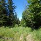 Tr 2 Treeline, Homer, AK 99603 ID:12888489