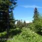 Tr 2 Treeline, Homer, AK 99603 ID:12888490