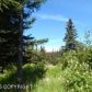 Tr 2 Treeline, Homer, AK 99603 ID:12888492