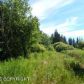 Tr 2 Treeline, Homer, AK 99603 ID:12888493