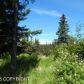 Tr 2 Treeline, Homer, AK 99603 ID:12888494