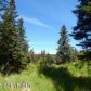 Tr 2 Treeline, Homer, AK 99603 ID:12888495