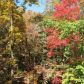 1077 Long Branch Road, Dahlonega, GA 30533 ID:13021165