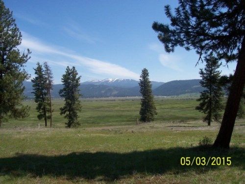 Lot 24 Timber Ridge Drive, New Meadows, ID 83654