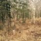 8301 N Gold Creek Circle, Palmer, AK 99645 ID:12289541