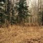8301 N Gold Creek Circle, Palmer, AK 99645 ID:12289543