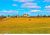 12164 Highway 142 Newborn, GA 30056