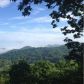 557 Alex Mountain Drive, Dillard, GA 30537 ID:12835378