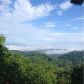 557 Alex Mountain Drive, Dillard, GA 30537 ID:12835379