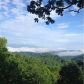 557 Alex Mountain Drive, Dillard, GA 30537 ID:12835380