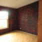 9798 Horseshoe Rd, Lynchburg, OH 45142 ID:12983725