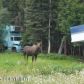 3802 S Horseshoe Lake Road, Big Lake, AK 99652 ID:12951453