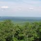688 Mcelroy Mountain Drive, Jasper, GA 30143 ID:13037736
