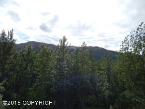000 Charlice TR E, Eagle River, AK 99577