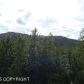 000 Charlice TR E, Eagle River, AK 99577 ID:12886252