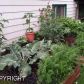 1804 Cindylee Lane, Anchorage, AK 99507 ID:13048671