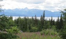 Tr 2 Frontier Lane Homer, AK 99603