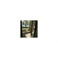 15599 SW 106 LN # 1205, Miami, FL 33196 ID:13049912