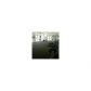 15599 SW 106 LN # 1205, Miami, FL 33196 ID:13049913