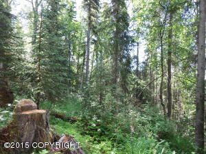 5146 E 98th Avenue, Anchorage, AK 99507