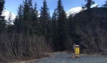 621 Vail Drive Girdwood, AK 99587