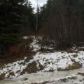 621 Vail Drive, Girdwood, AK 99587 ID:13073379